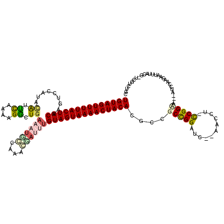 secondary structure