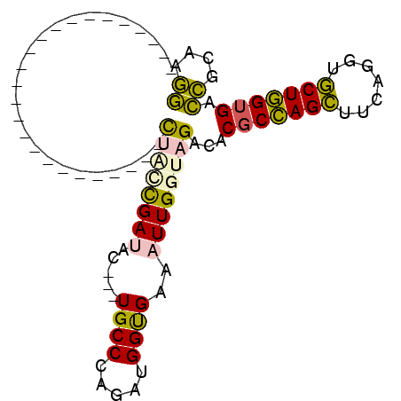 secondary structure