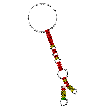 secondary structure