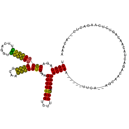 secondary structure
