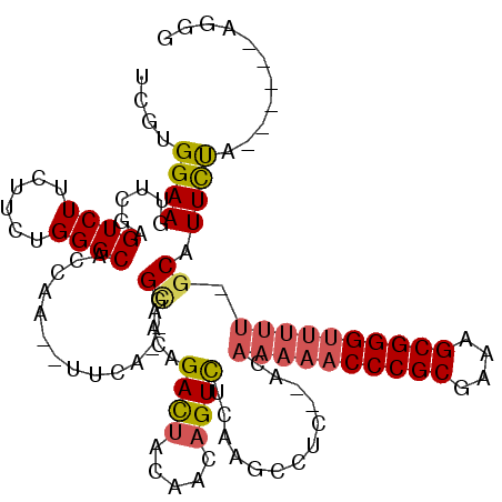 secondary structure