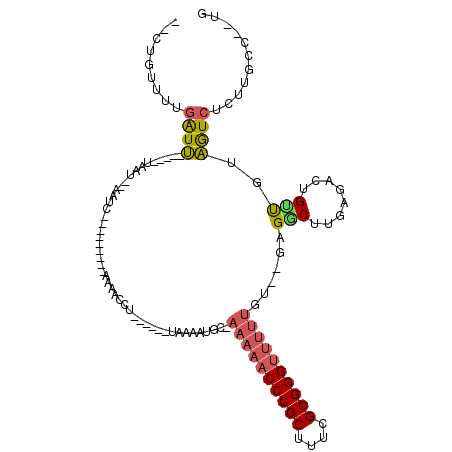 secondary structure