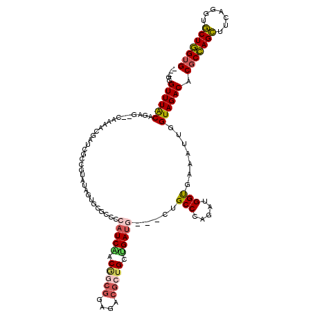 secondary structure