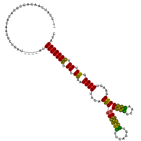 secondary structure