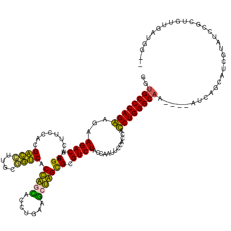 secondary structure