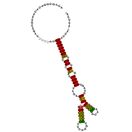 secondary structure