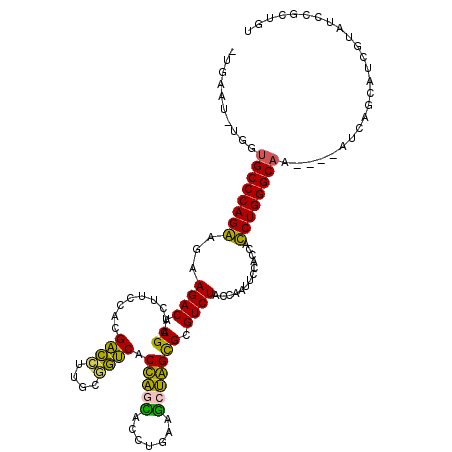 secondary structure