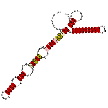 secondary structure