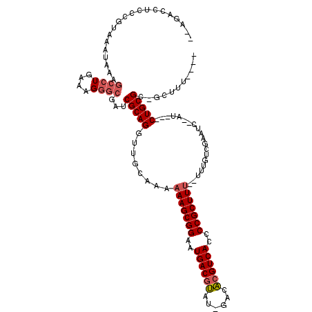 secondary structure