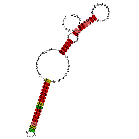 secondary structure