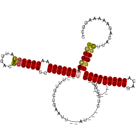 secondary structure