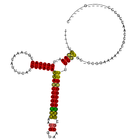 secondary structure