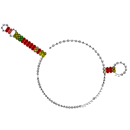 secondary structure
