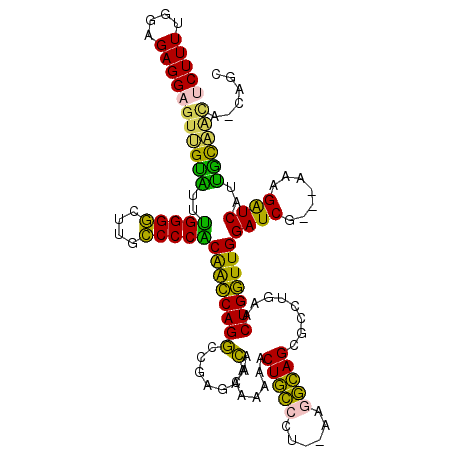 secondary structure