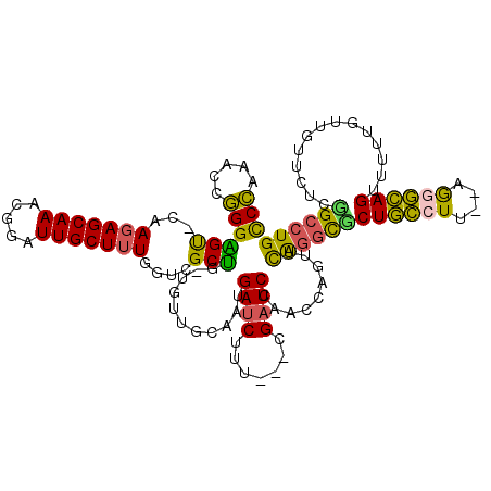 secondary structure