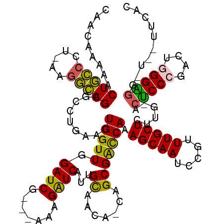 secondary structure
