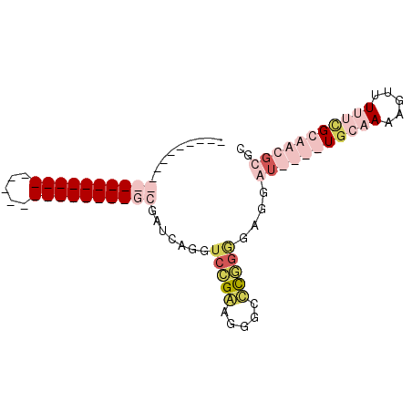 secondary structure
