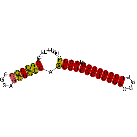 secondary structure