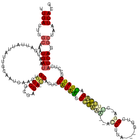 secondary structure