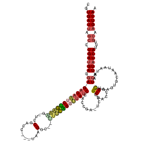 secondary structure