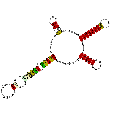 secondary structure