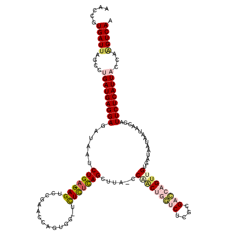 secondary structure