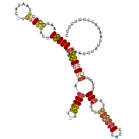 secondary structure