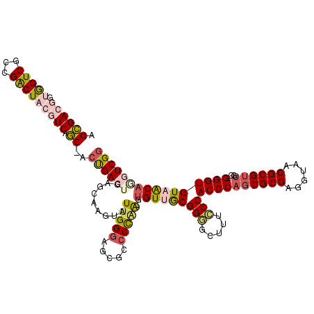 secondary structure