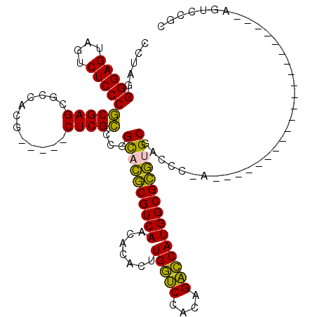 secondary structure