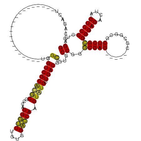 secondary structure