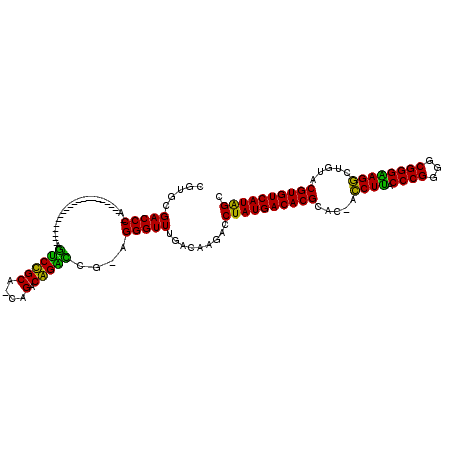 secondary structure