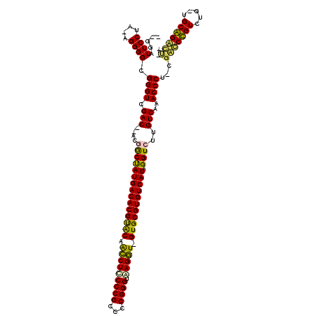 secondary structure