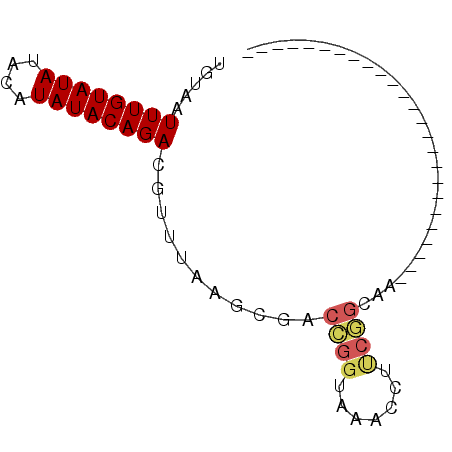 secondary structure