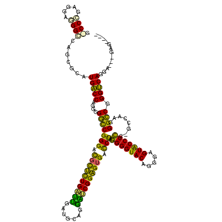 secondary structure