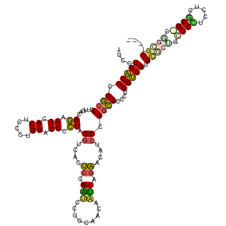 secondary structure