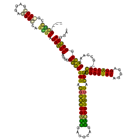 secondary structure