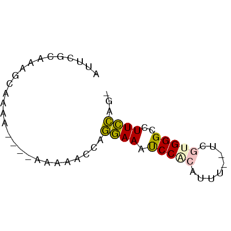 secondary structure