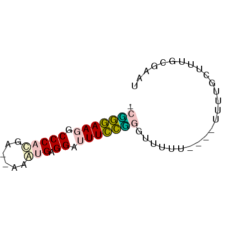 secondary structure