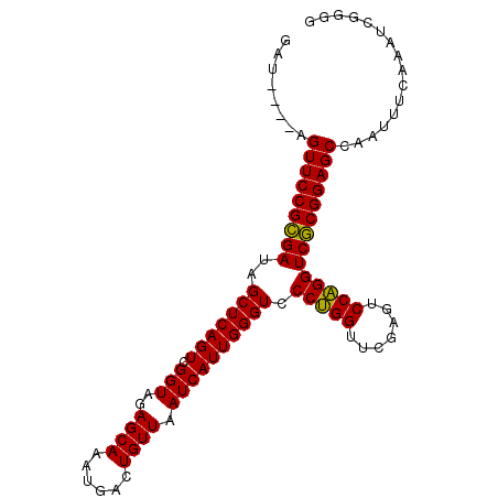 secondary structure