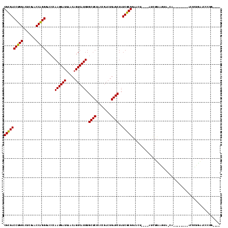 dotplot