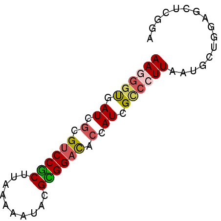 secondary structure