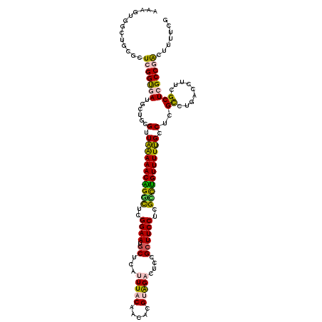 secondary structure