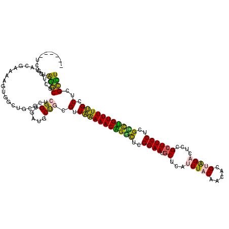 secondary structure