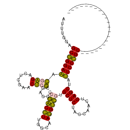 secondary structure
