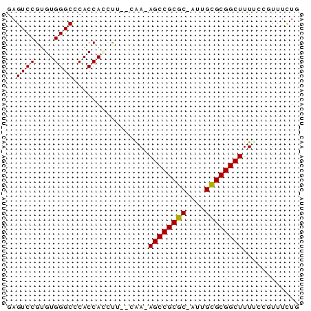 dotplot