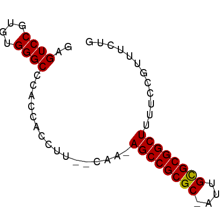 secondary structure