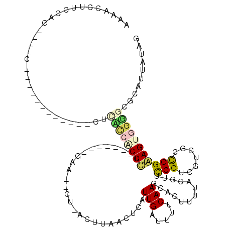 secondary structure