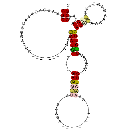 secondary structure