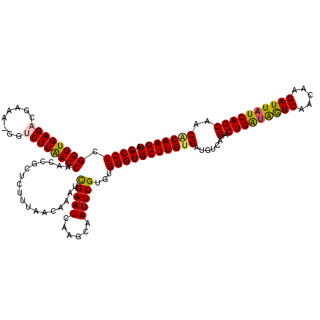 secondary structure