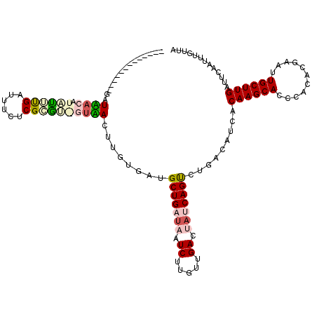 secondary structure